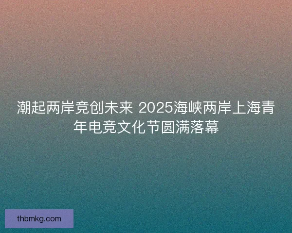 潮起两岸竞创未来 2025海峡两岸上海青年电竞文化节圆满落幕 潮起两岸竞创未来 2025海峡两岸上海青年电竞文化节圆满落幕