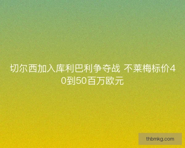 切尔西加入库利巴利争夺战 不莱梅标价40到50百万欧元 切尔西加入库利巴利争夺战 不莱梅标价40到50百万欧元