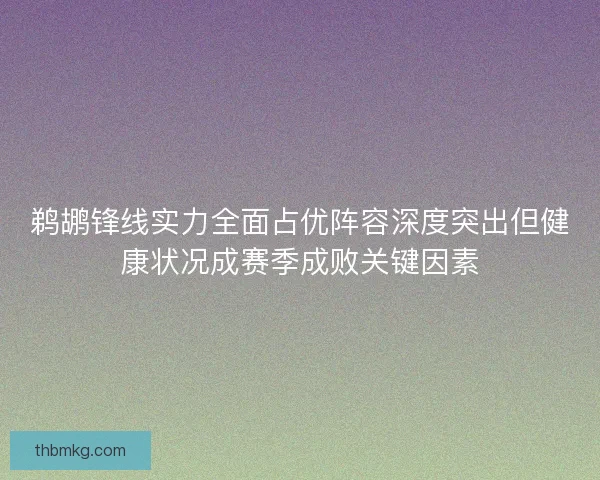 鹈鹕锋线实力全面占优阵容深度突出但健康状况成赛季成败关键因素
